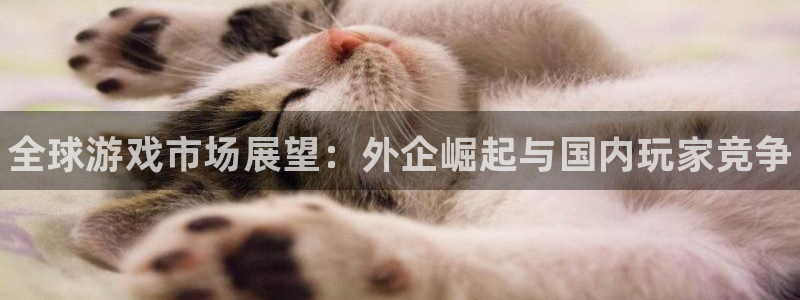 长征娱乐注册网站：全球游戏市场展望：外企崛起与国内玩家竞争