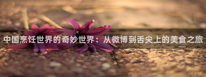 长征娱乐升级5994月：中国烹饪世界的奇妙世界：从微博到舌尖