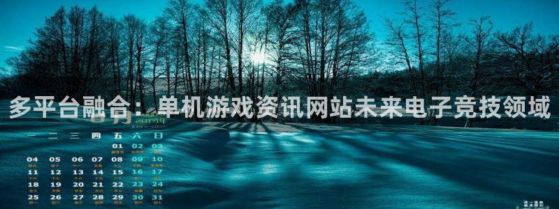 长征娱乐注册开户：多平台融合：单机游戏资讯网站未来电子竞技领
