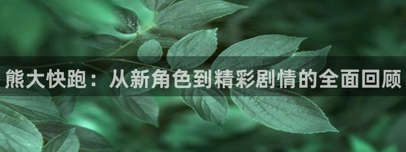 长征娱乐注册账号：熊大快跑：从新角色到精彩剧情的全面回顾