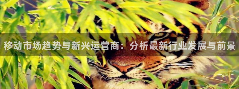 长征娱乐网页登录入口下载：移动市场趋势与新兴运营商：分析最新