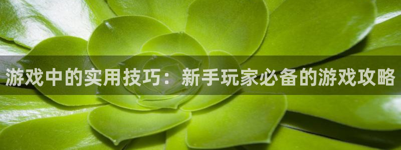 长征娱乐游戏：游戏中的实用技巧：新手玩家必备的游戏攻略