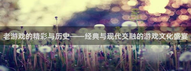长征娱乐测速登陆：老游戏的精彩与历史——经典与现代交融的游戏