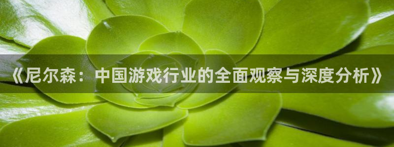 长征娱乐升级5994月：《尼尔森：中国游戏行业的全面观察与深