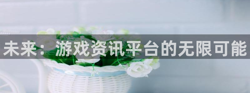 长征娱乐平台注册资金多少：未来：游戏资讯平台的无限可能